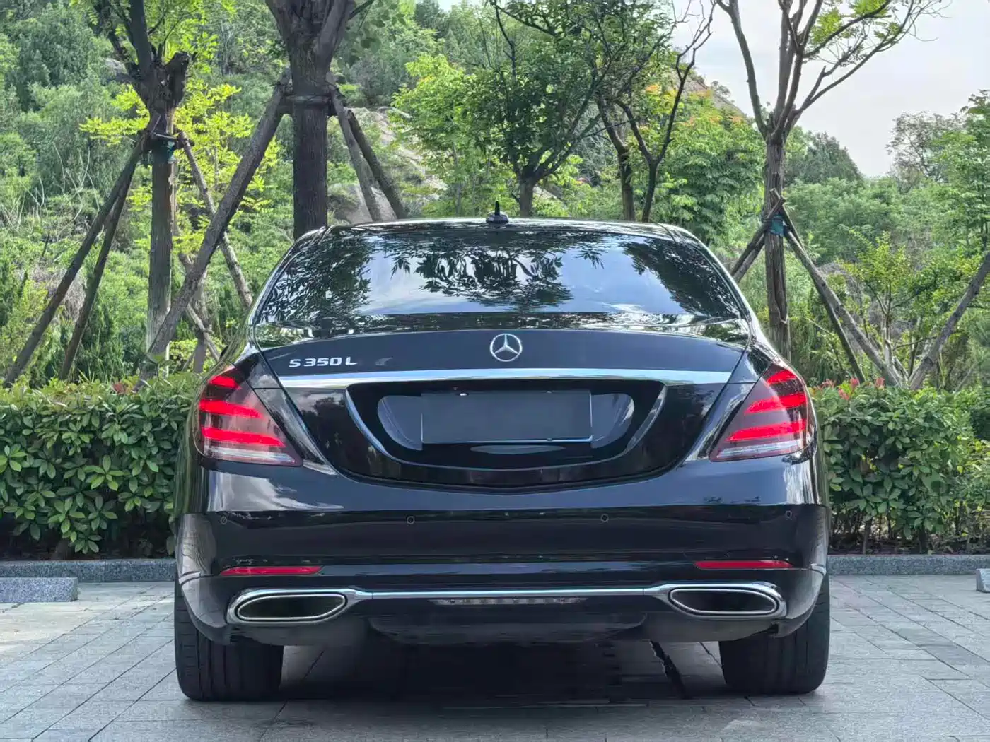Mercedes-Benz S-Class 2020 S 350 L Business Edition Collector's Version фото 4