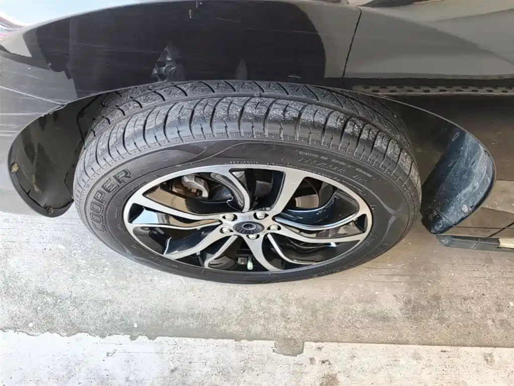 Haval H6 Coupe 2018 Red Label 1.5T Auto 2WD Ultra Luxury фото 23