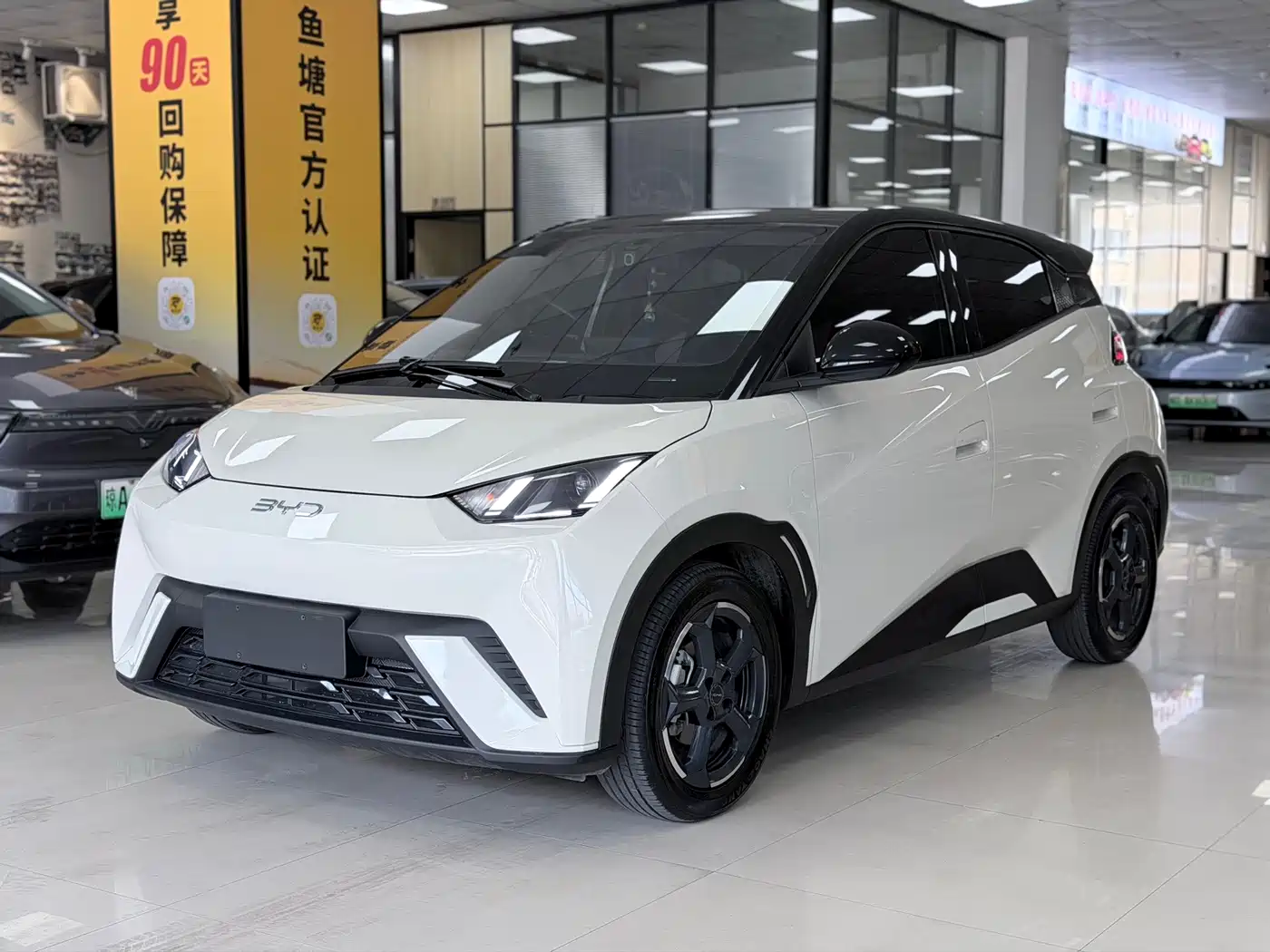BYD Seagull 2023 2023 Freedom Edition