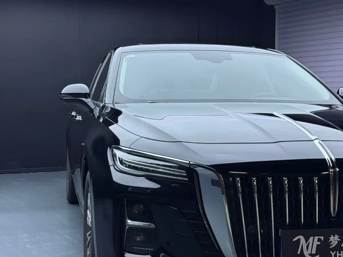 Hongqi H5 2024 1.5T DCT Smart Connect Flag Rhythm Edition фото 4