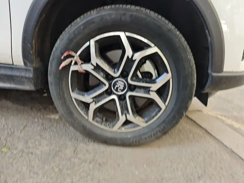 BYD Yuan Pro 2022 2021 401KM Luxury Model