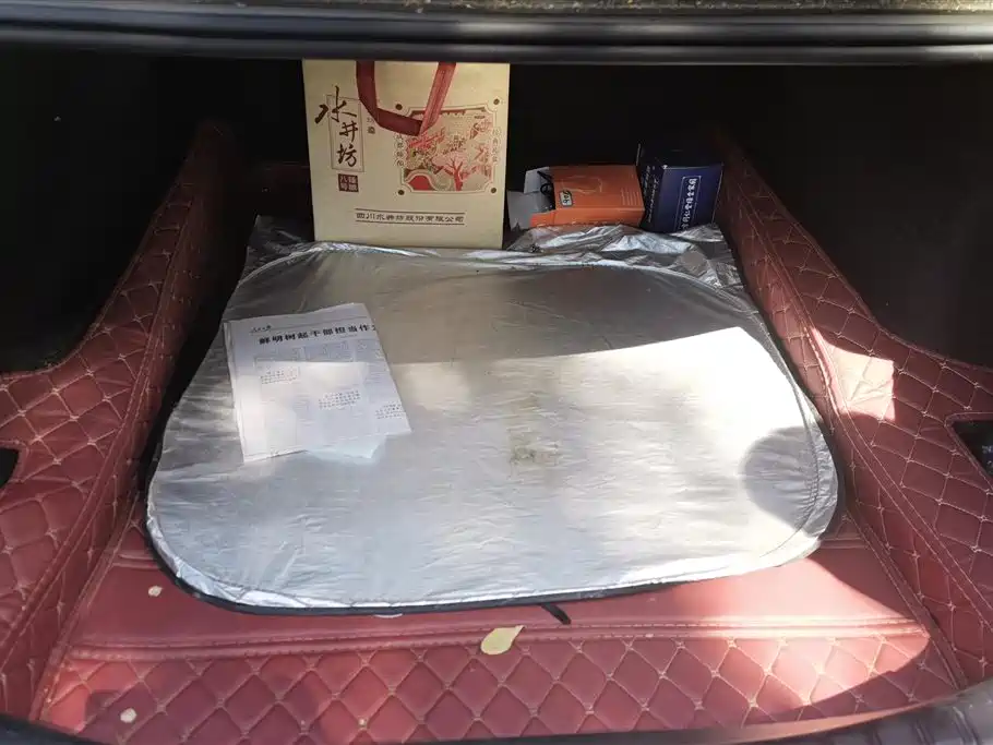 BMW 5 Series 2022 Facelift 525Li Luxury Package фото 4