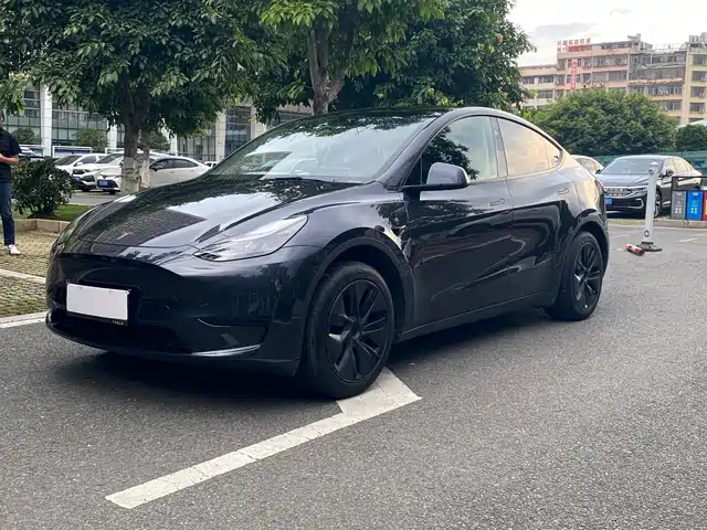 Tesla Model Y 2024 Rear-Wheel Drive Version
