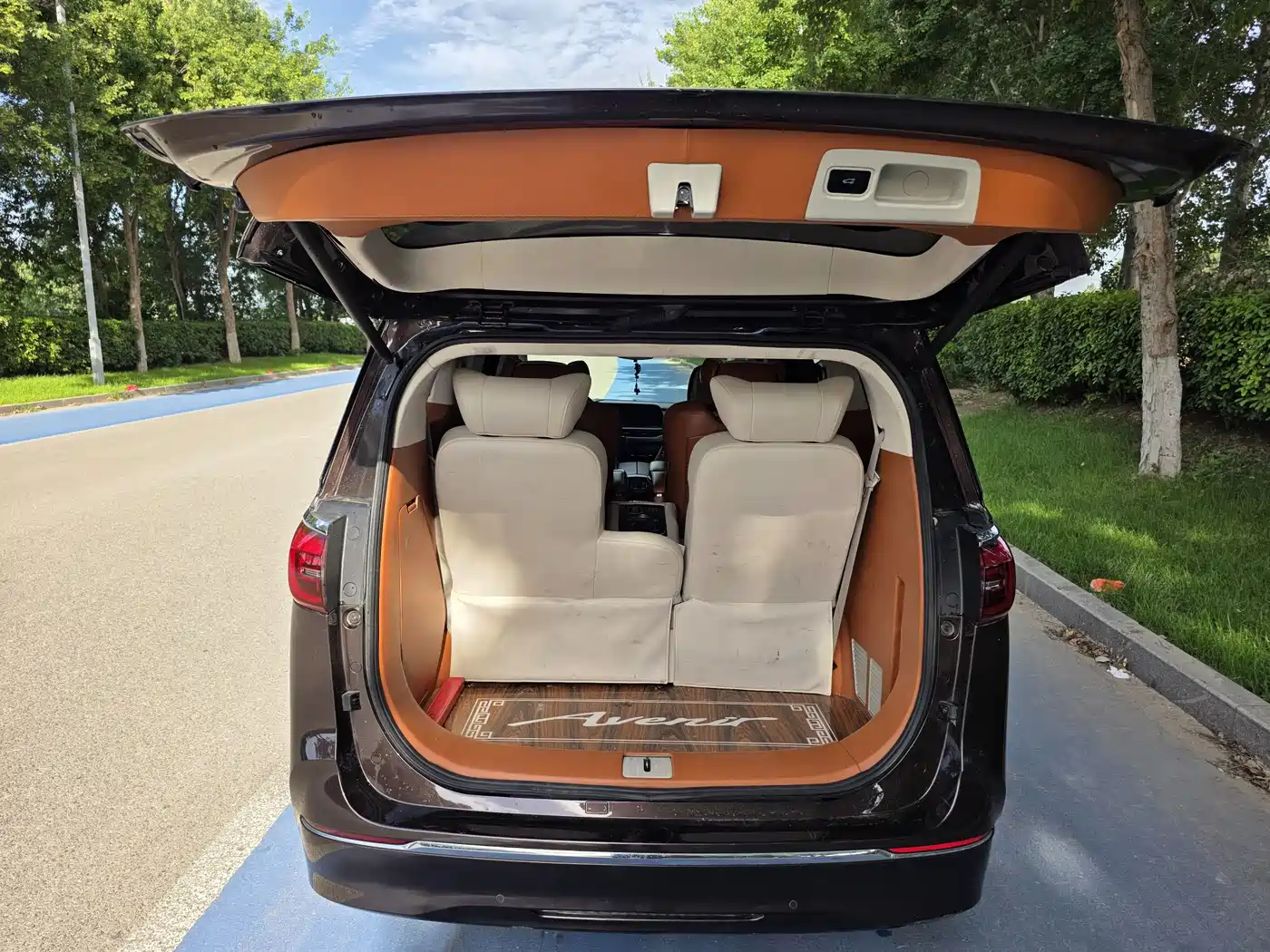 Buick GL8 2021 ES Landlord 653T Comfort фото 13