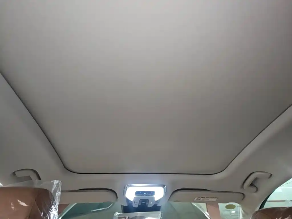 Hongqi H9 2026 2025 Facelift 2.0T 2WD Flagship Luxury Business Edition 5-seater