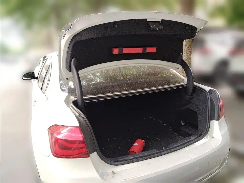 BMW 3 Series 2018 320Li xDrive Fashion Style фото 20