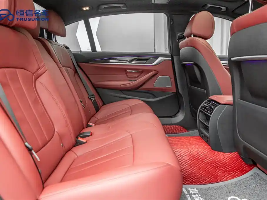BMW 5 Series 2019 530Li xDrive M Sport Package фото 16