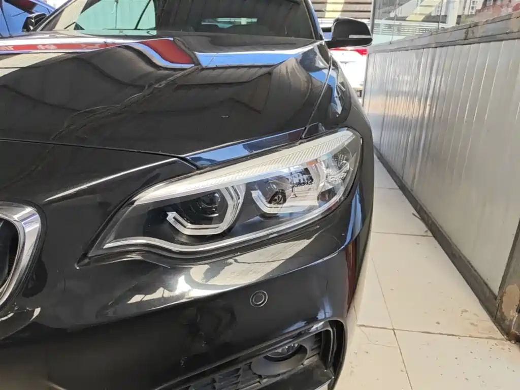BMW 2 Series (Import) 2018 225i Convertible Coupe Premium M Sport Package фото 24