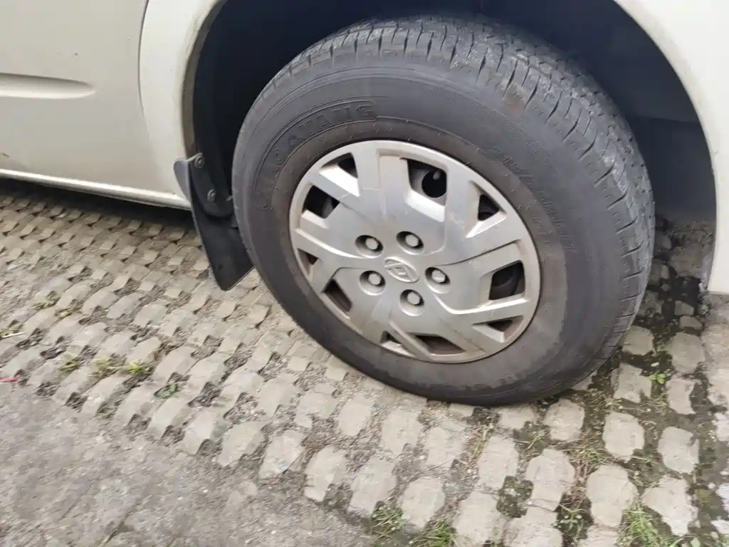 Photo 24 - Maxus Xintu V80