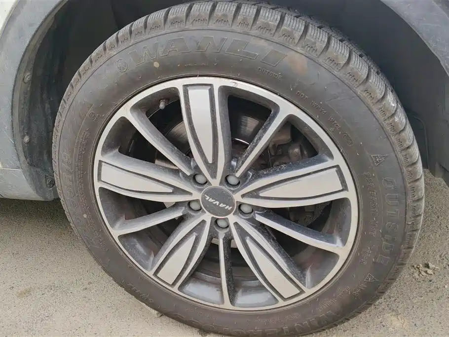 Haval H6 2021 1.5GDIT Automatic Champion Edition фото 6