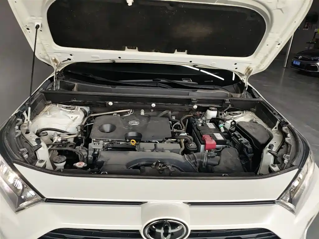 Toyota RAV4 Rongfang 2020 2.0L CVT 2WD Trend Edition фото 20
