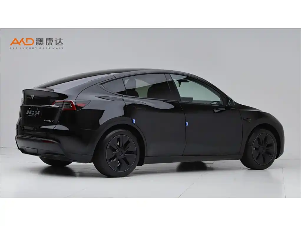 Фото 3 - Tesla Model Y