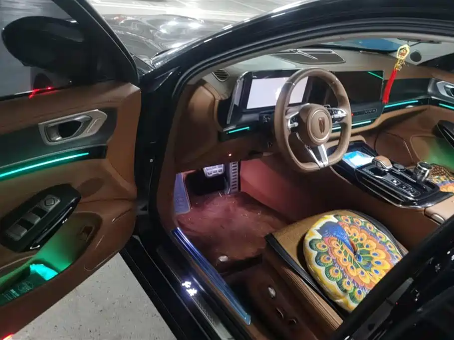 Hongqi H9 2024 2.0T Qi Enjoy Private Fashion Edition фото 9