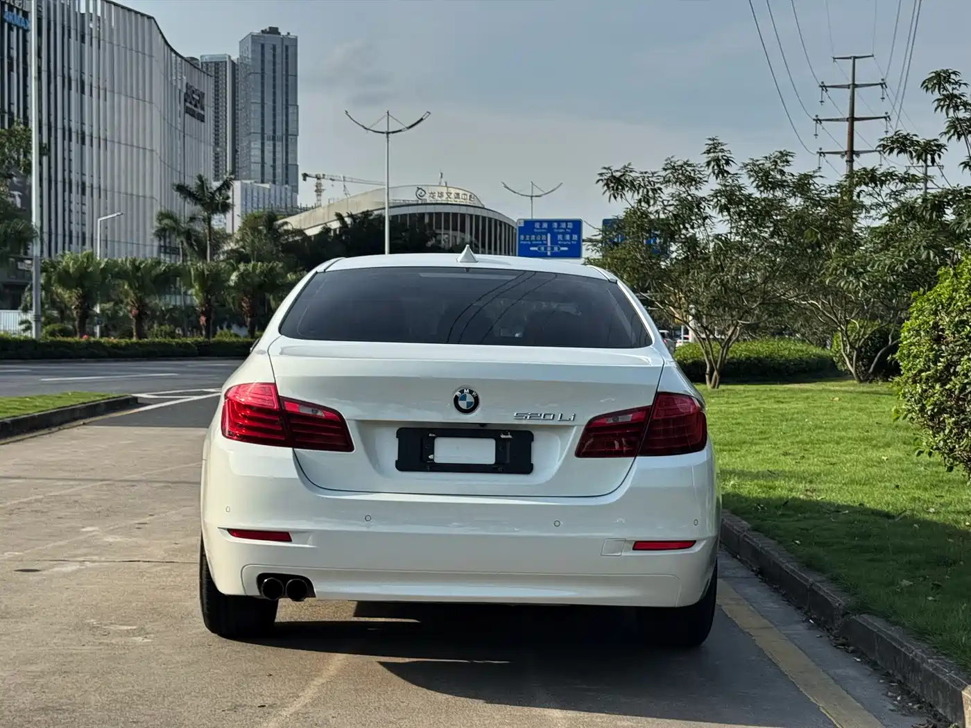 BMW 5 Series 2014 520Li Elegance фото 9