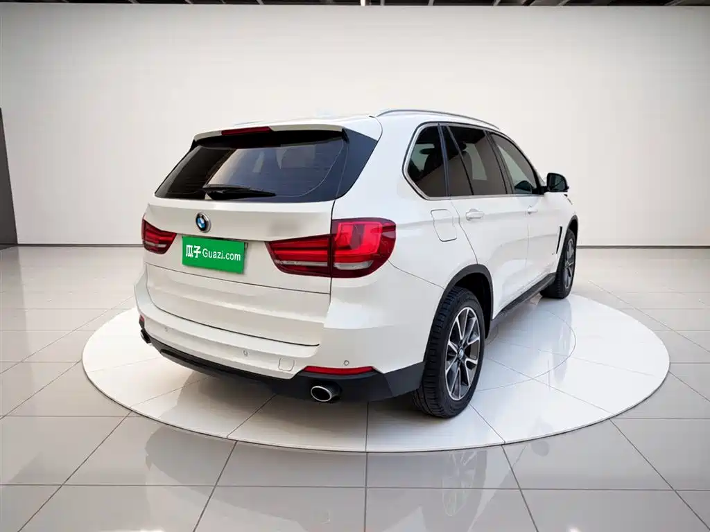BMW X5 (Import) 2014 xDrive35i Leading фото 4