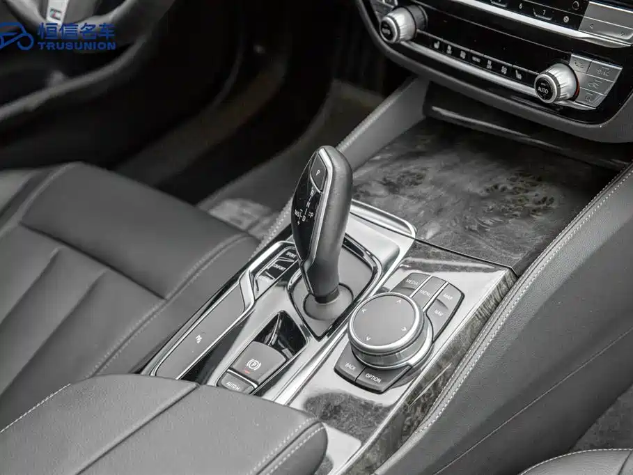 BMW 5 Series 2020 530Li Leading M Sport Package фото 19
