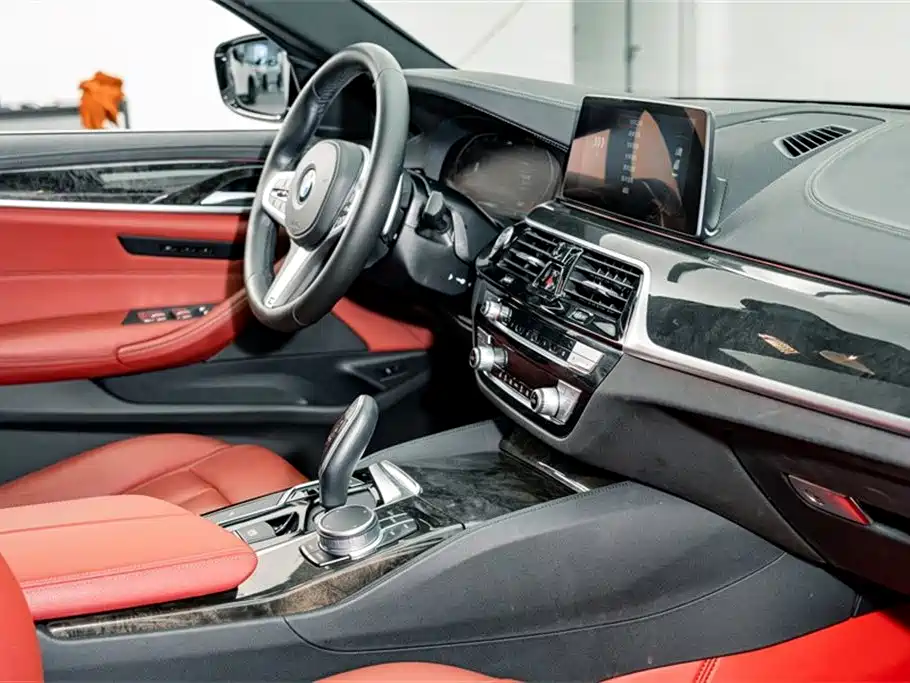 BMW 5 Series 2020 530Li Leading M Sport Package фото 18