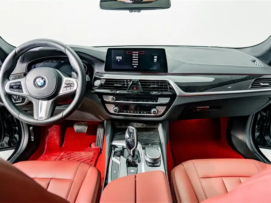 BMW 5 Series 2020 530Li Leading M Sport Package фото 12