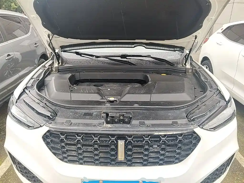 Фото 20 - WEY VV6