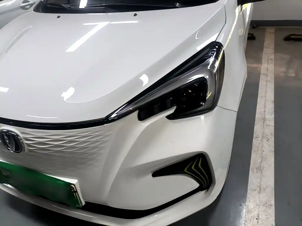 Changan Benben E-Star 2021 2020 Heartbeat Edition (NMC Battery)