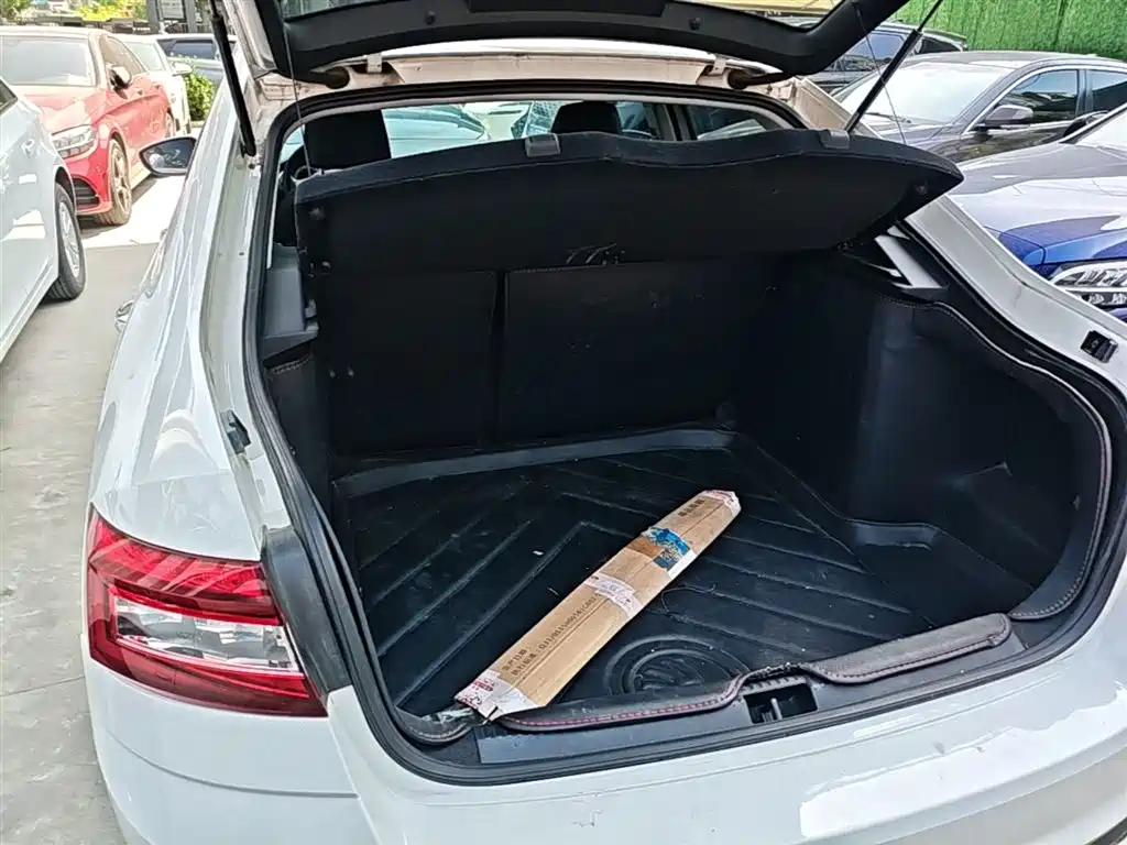 Škoda Octavia 2018 TSI230 DSG Luxury Edition фото 19