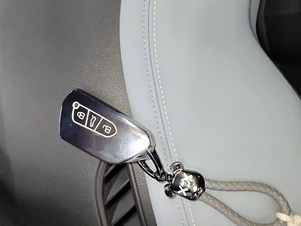 Volkswagen ID.4 X 2024 2024 Pure Intelligent Edition