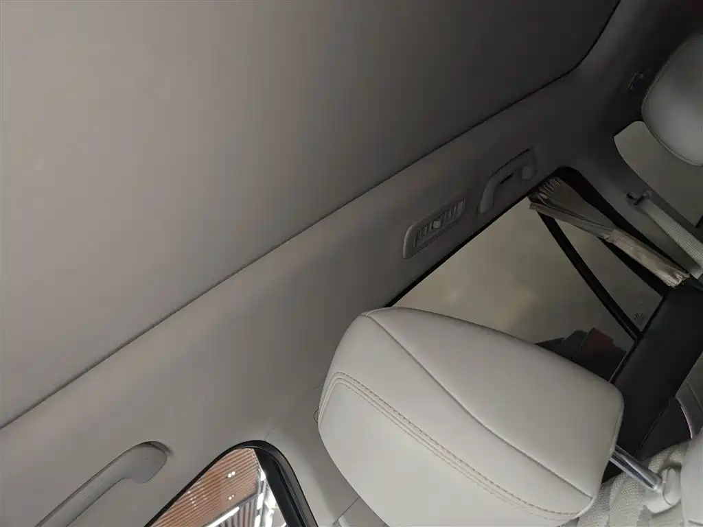 GAC Trumpchi Trumpchi GS8 2022 Dual Engine Series 2.0TM 4WD Premium Edition (6-Seater) фото 18