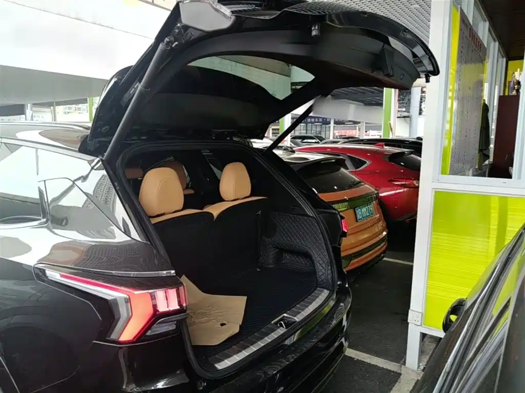 Lynk & Co 09 EM-P 2024 2.0TD EM-P AWD PRO 7-Seater фото 19