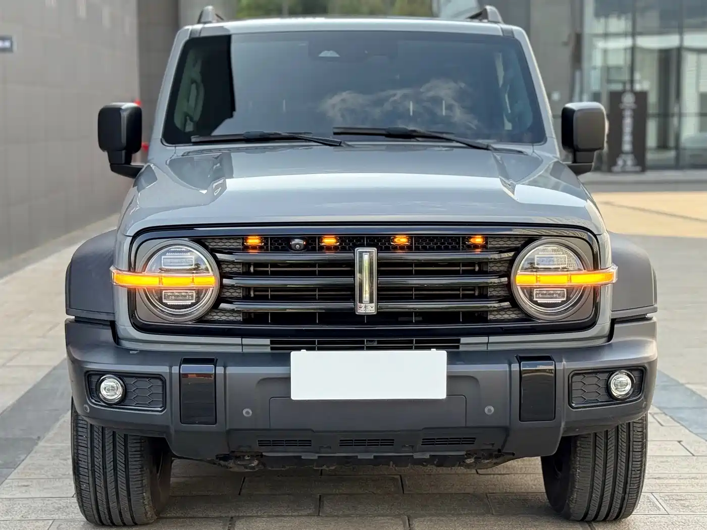 Tank 300 2021 2021 Off-road Version 2.0T Conqueror