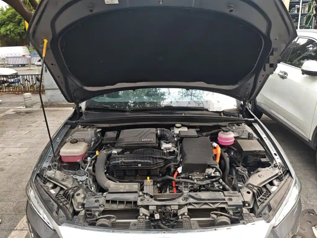 BYD Qin PLUS 2024 Glory Edition DM-i 55KM Leading фото 21