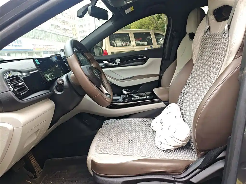 BYD Qin PLUS 2024 Glory Edition DM-i 55KM Leading фото 16
