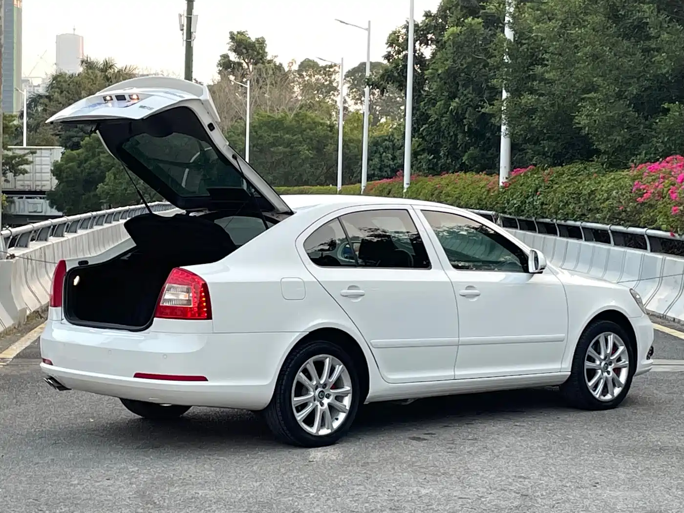 Škoda Octavia 2010 2.0TSI RS фото 5