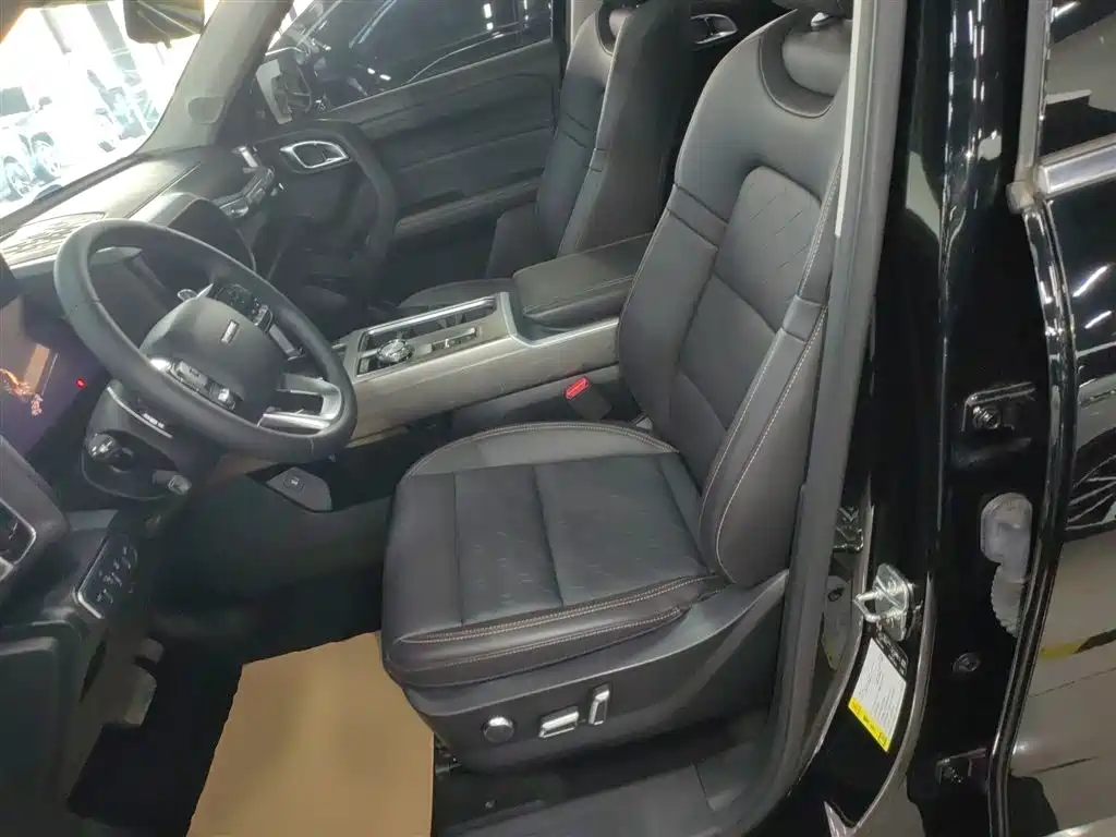 Haval Big Dog 2024 1.5T DCT Border Collie Edition фото 15
