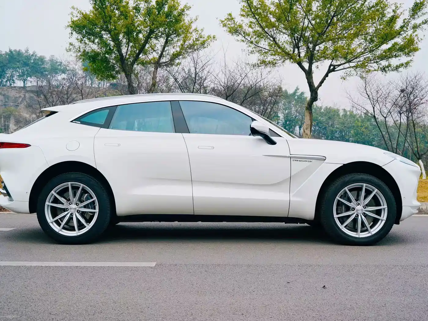 Aston Martin DBX 2022 2022 3.0T STRAIGHT-SIX