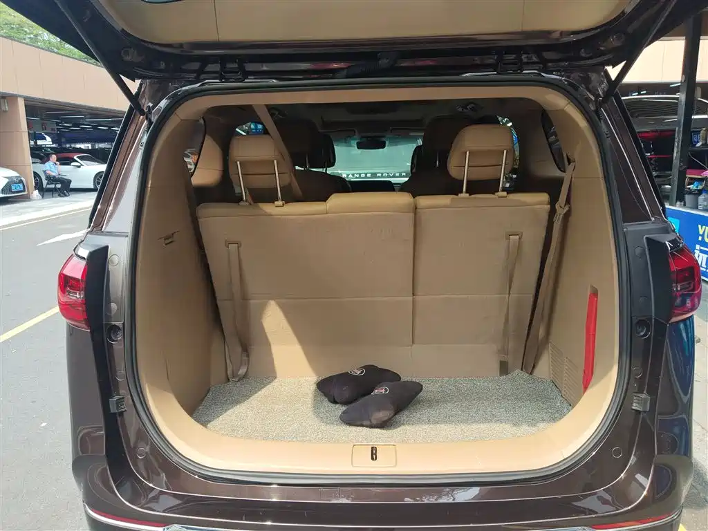 Buick GL8 2021 ES Landlord 653T Premium фото 18