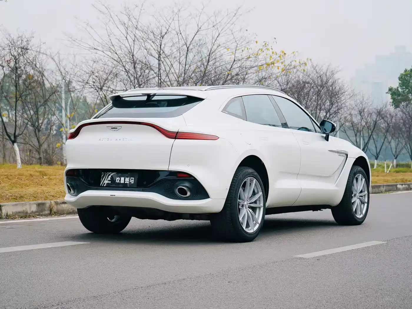 Aston Martin DBX 2022 2022 3.0T STRAIGHT-SIX
