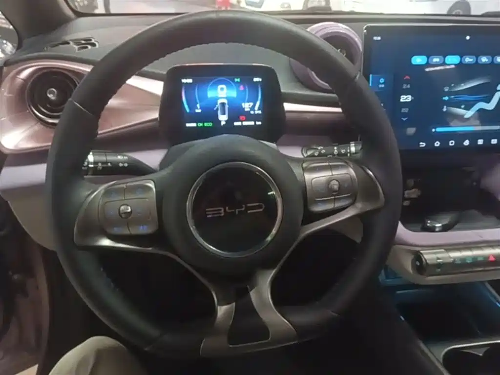 BYD Dolphin 2021 Model 405km Fashion Edition фото 11