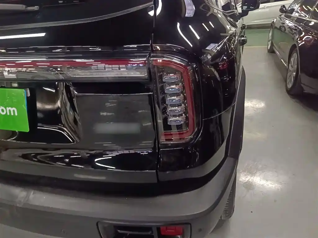 Haval Big Dog 2024 1.5T DCT Border Collie Edition фото 24