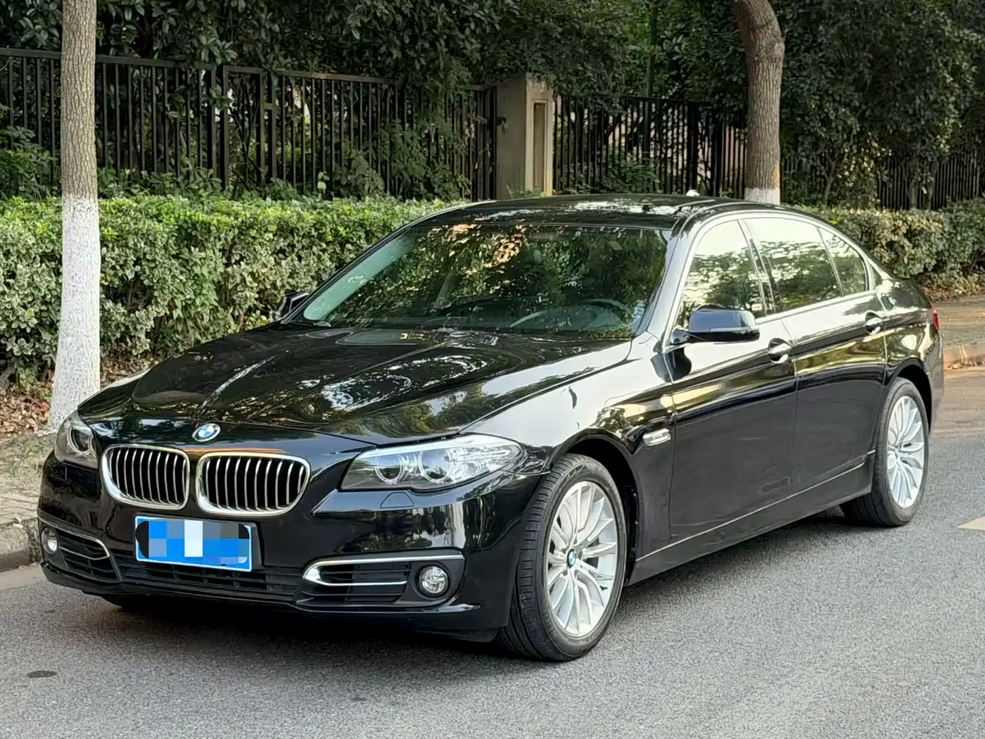 BMW 5 Series 2014 525Li Luxury Design Package