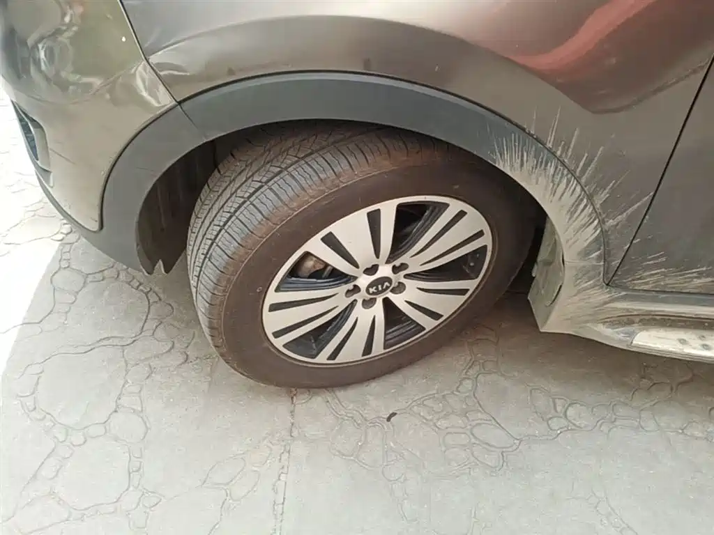 Kia Sportage 2015 2.0L Automatic 2WD DLX фото 23