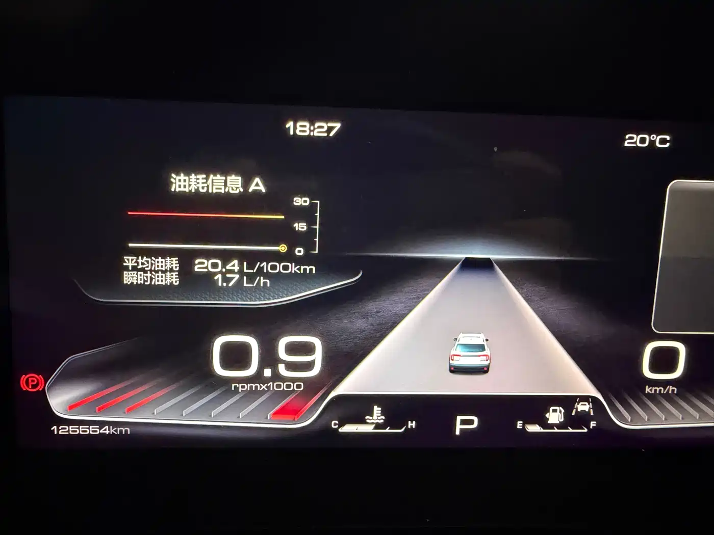 Haval Big Dog 2021 2.0T DCT 4WD Chinese Rural Dog Edition фото 8