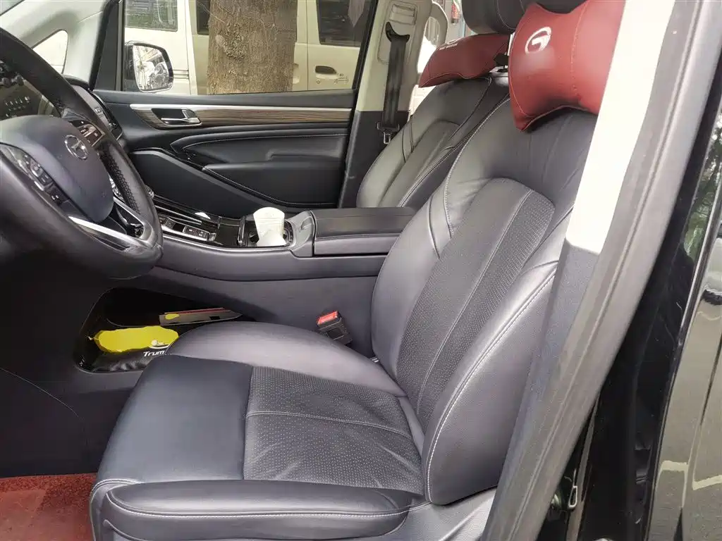 GAC Trumpchi Trumpchi M8 2021 Leading Show Series 390T Ultimate Edition фото 11