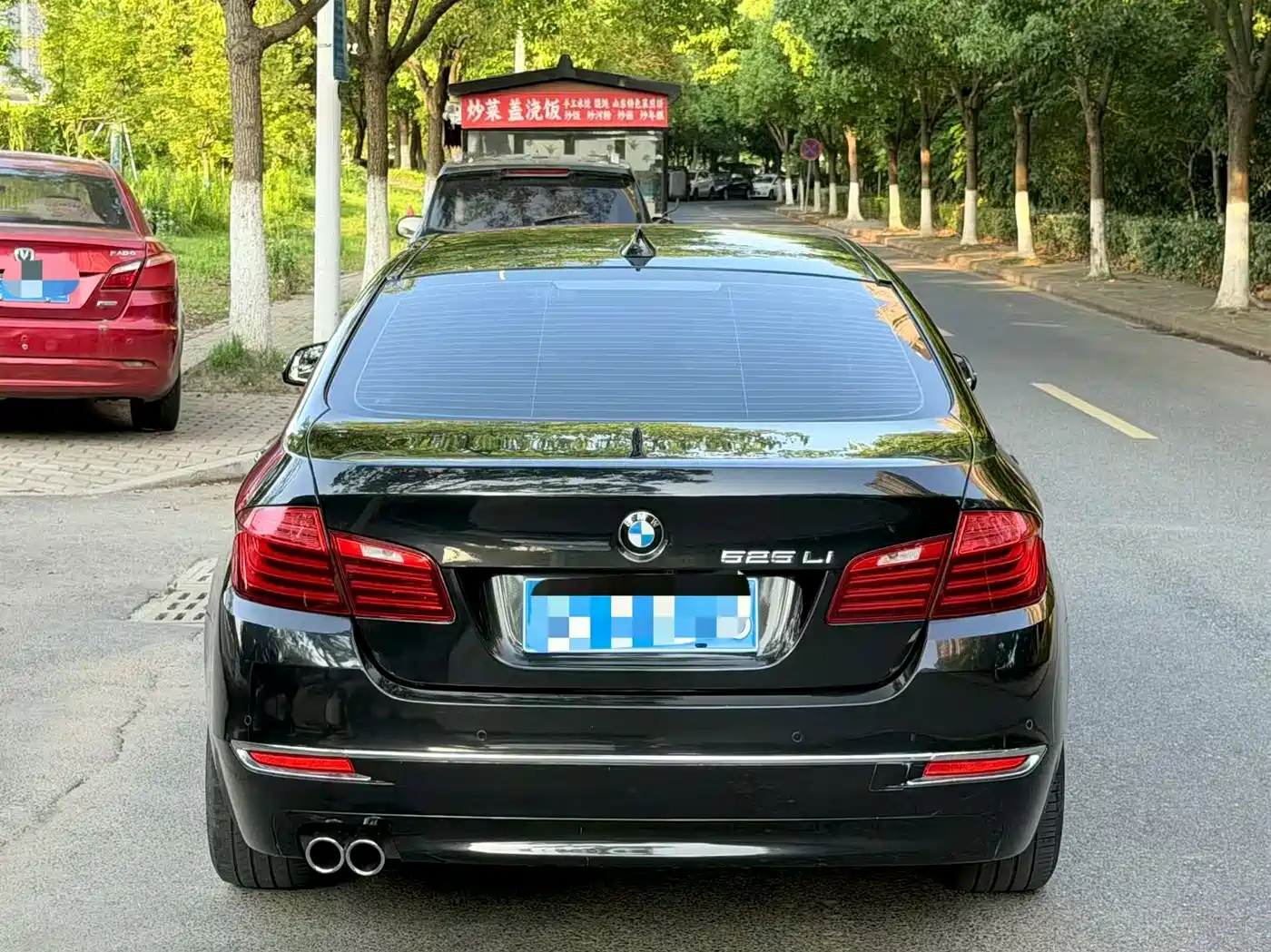 BMW 5 Series 2014 525Li Luxury Design Package фото 8
