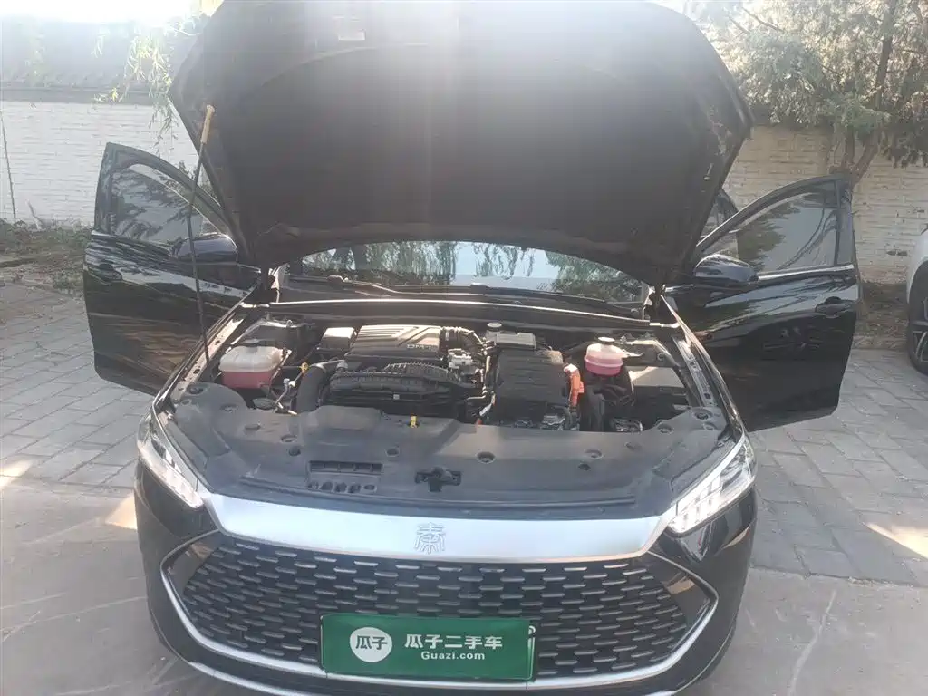 BYD Qin PLUS 2024 Glory Edition DM-i 55KM Leading фото 16
