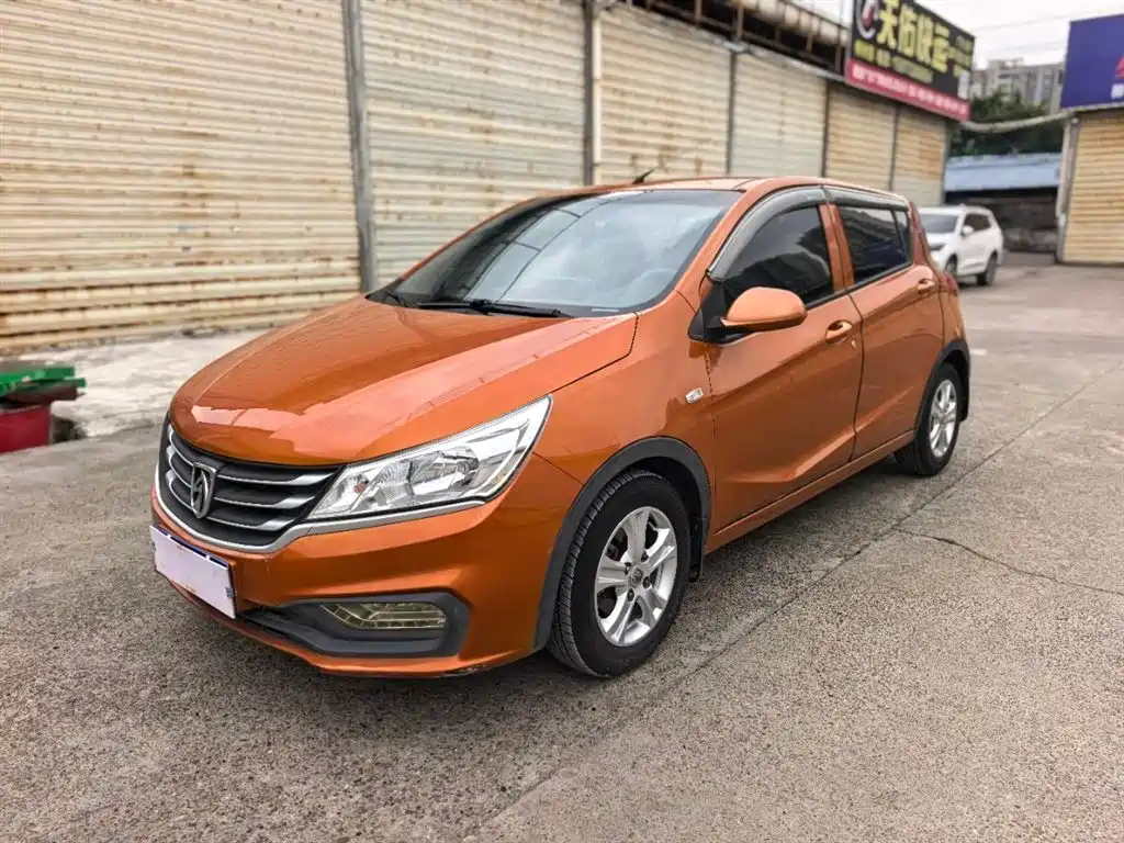 BAOJUN 310