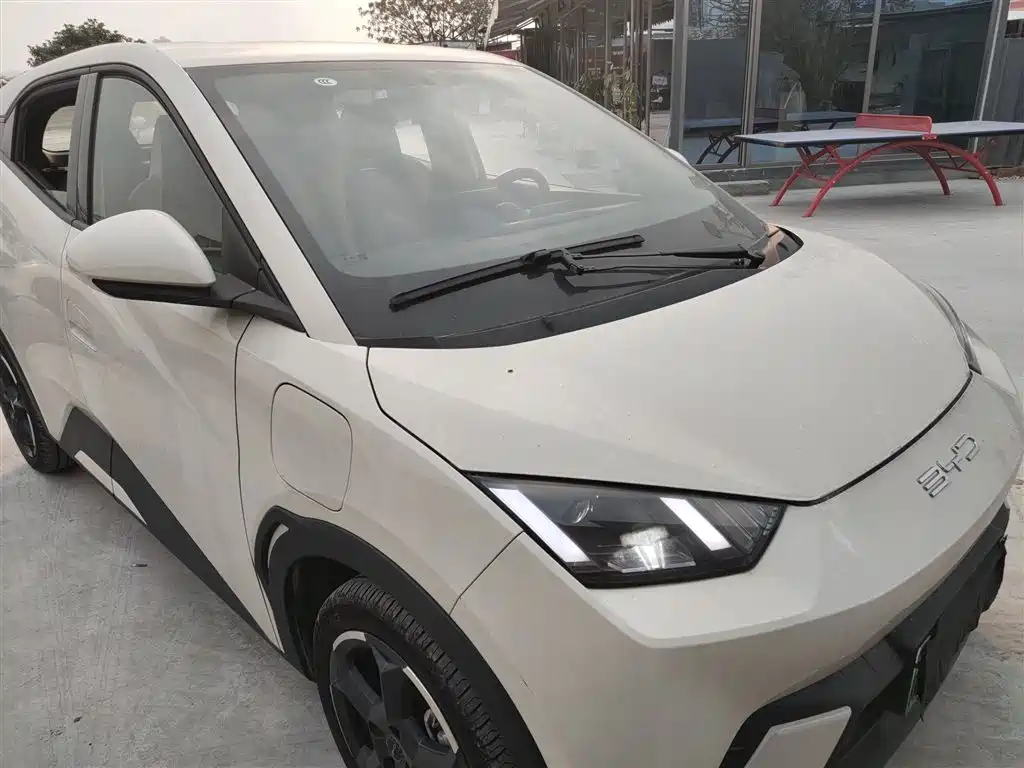 BYD Seagull 2023 Flying Edition фото 22