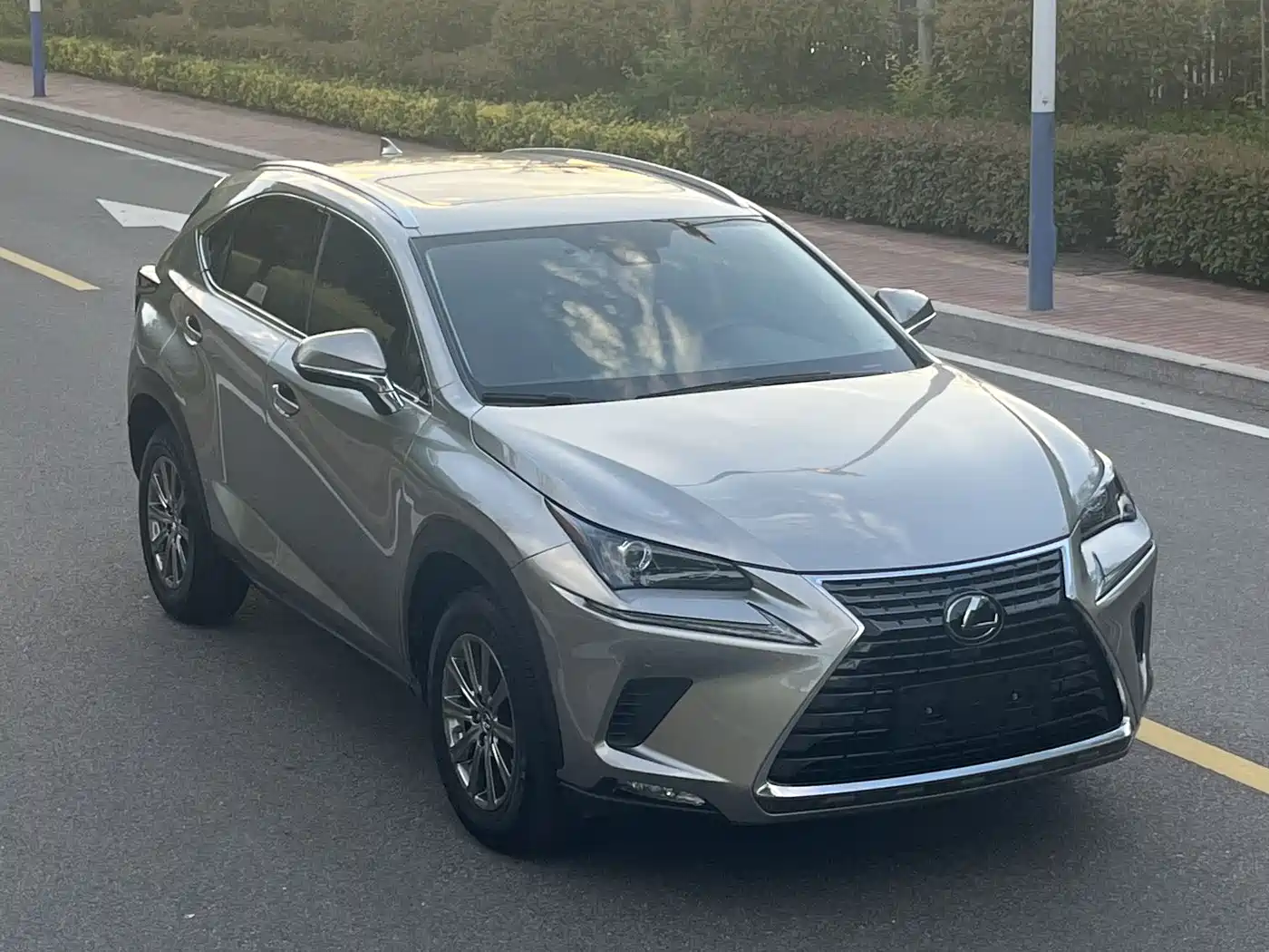 Lexus NX 2020 200 AWD F Sport China VI фото 10