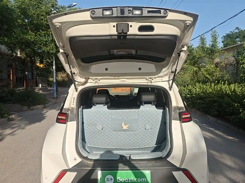 BYD Seagull 2024 Glory Edition 305km Vitality Edition фото 19