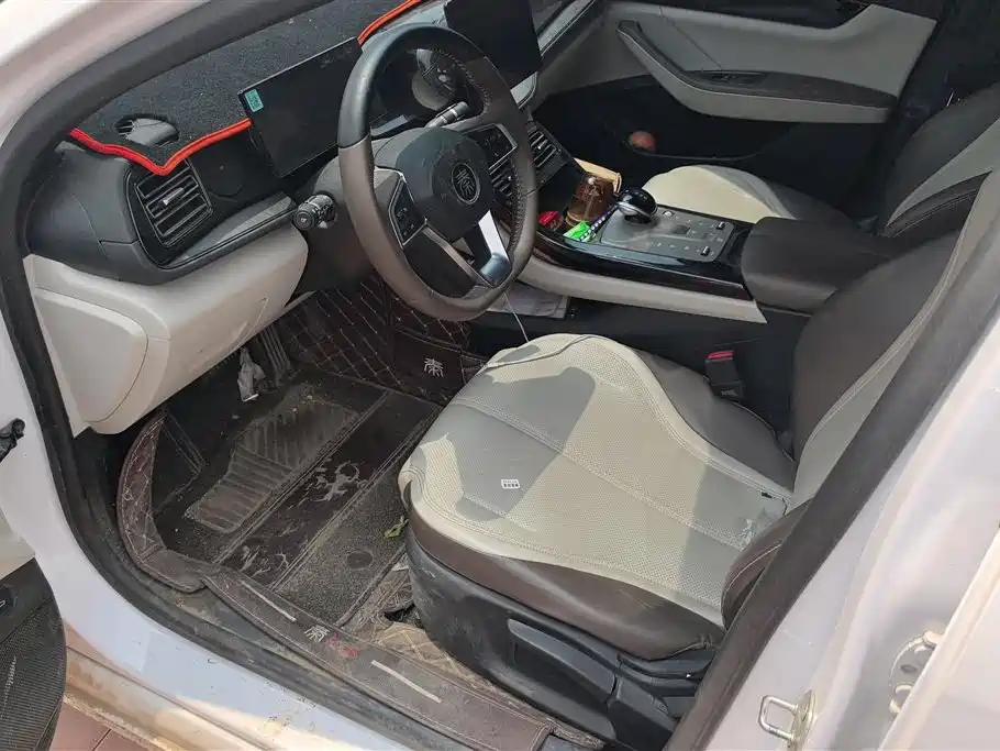 BYD Qin PLUS 2024 Glory Edition DM-i 55KM Leading фото 9