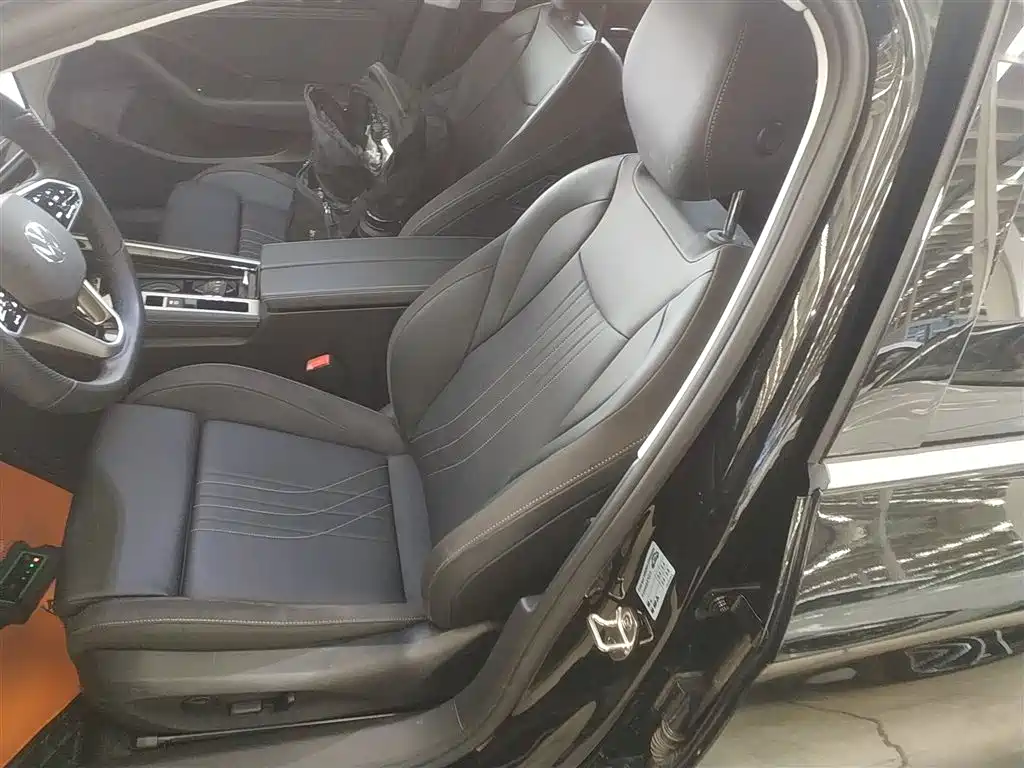 Volkswagen Magotan 2024 300TSI DSG Premium Edition (Eye-catching Package) фото 15